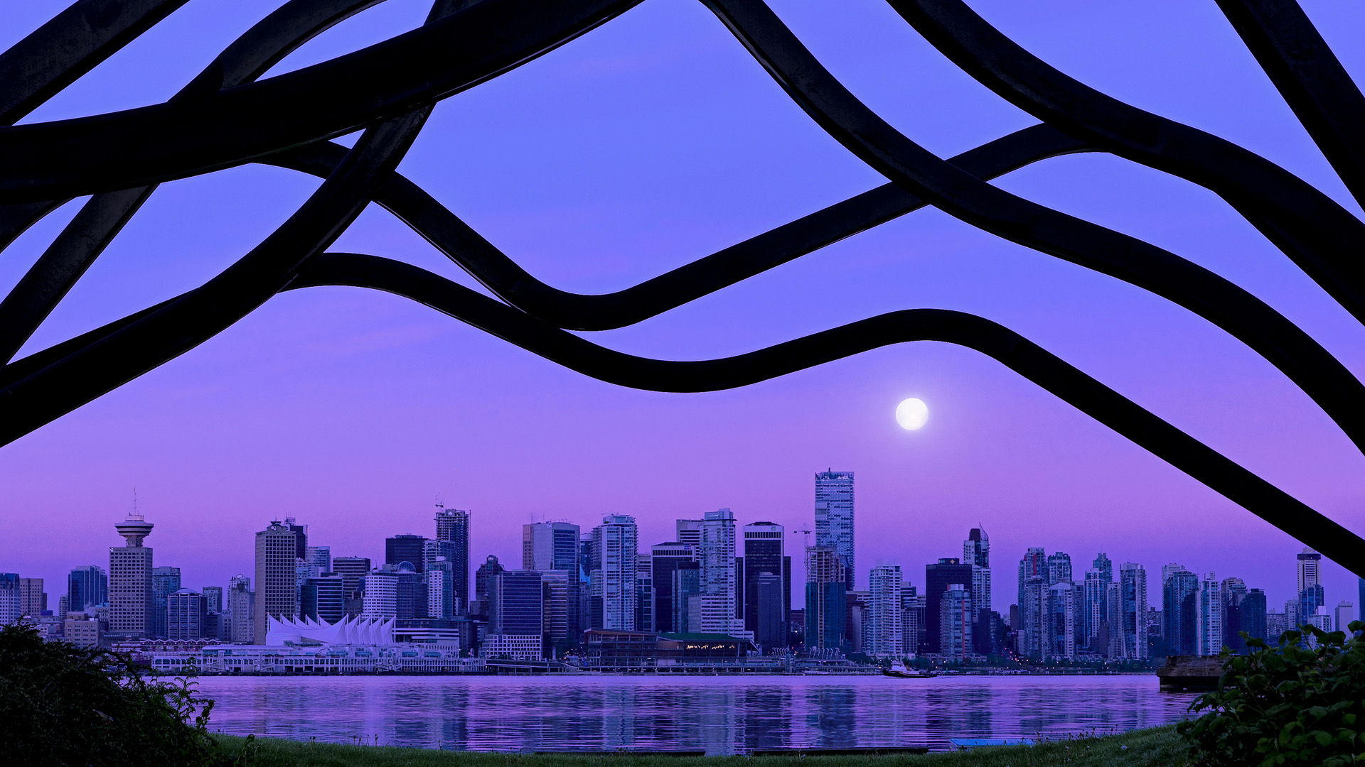 唯一之战，范弗利特式节奏掌控铸就浙江队巅峰胜局