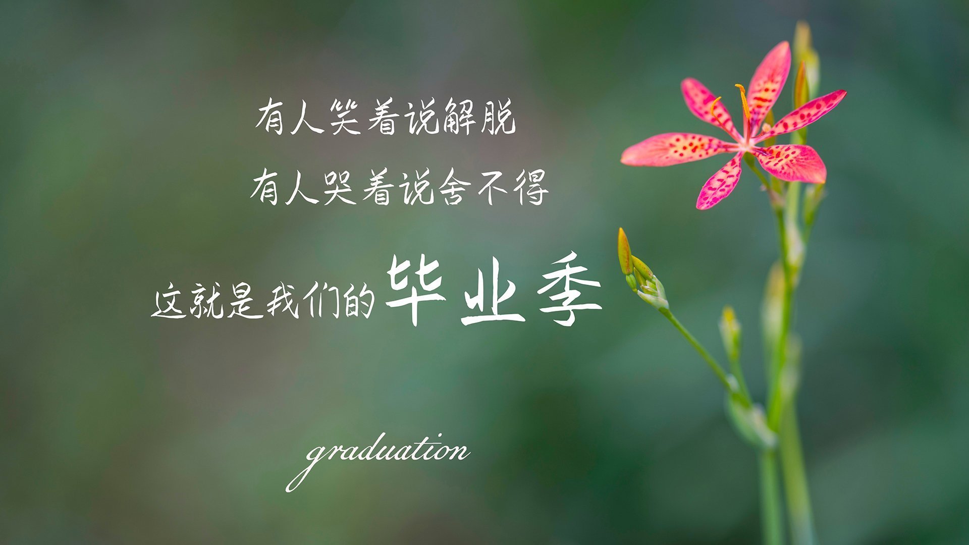 开云体育在线-2026世界杯E组焦点战，智利压制乌兹别克斯坦，奥斯梅恩主导比赛，默契配合撕裂防线